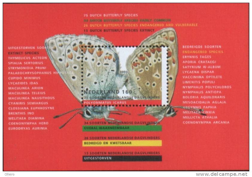 Olanda Pays-Bas Nederland 1993  Foglietto Farfalle (Papillon Batterflies)  ** MNH - Unused Stamps