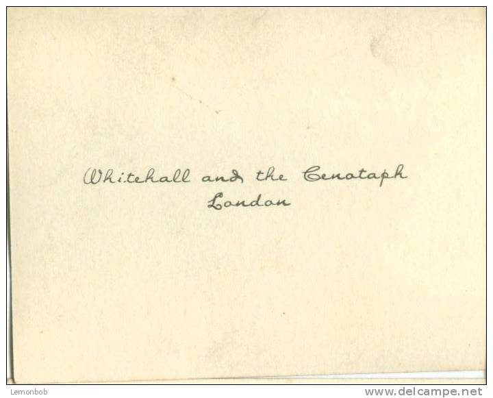 UK, London, Whitehall And The Cenotaph, Real Photo Snapshot [12668] - Other & Unclassified