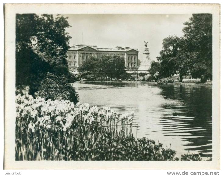 UK, London, Buckingham Palace From St. James's Park, 1920s Real Photo Snapshot [12670] - Other & Unclassified