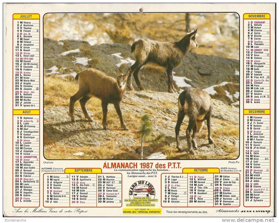 Calendrier 1987 / Photos, Alpes, Chamois, Montagne / Mer De Glace, Chamonix (74) Train De Montenvers - Tamaño Grande : 1981-90