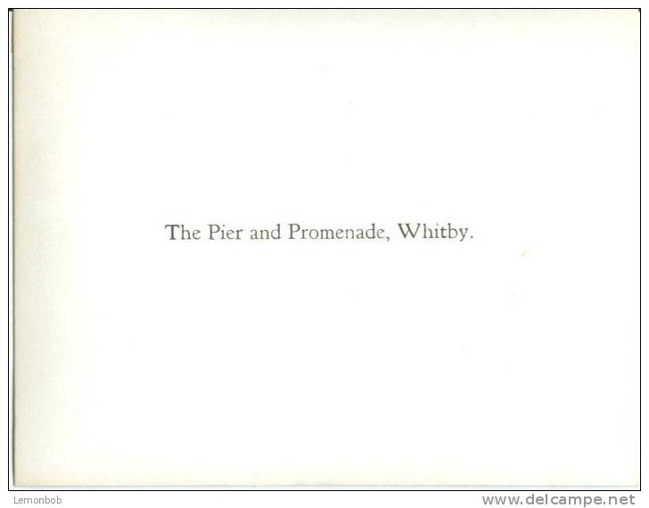 UK, The Pier And Promenade, Whitby, Photo Snap-Shot  [12690] - Other & Unclassified