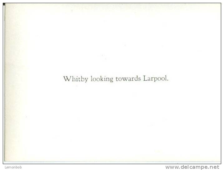 UK, Whitby Looking Towards Larpool, Photo Snap-Shot [12695] - Other & Unclassified