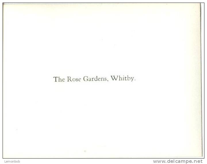 UK, The Rose Gardens, Whitby, Photo Snap-Shot [12699] - Autres & Non Classés