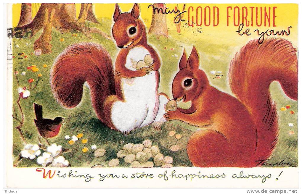 Ecureuil  (Red Squirrel) Et Rouge-Gorge - GOOD FORTUNE -1948- Illustrateur- Taylor - Taylor