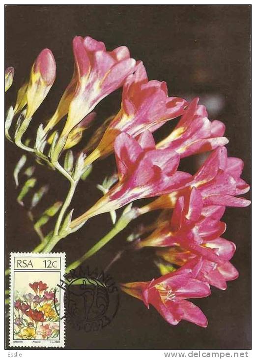 South Africa RSA - 1985 - Floral Emigrants, Indigenous Flowers - 1 Maximum Card - 12c - Briefe U. Dokumente