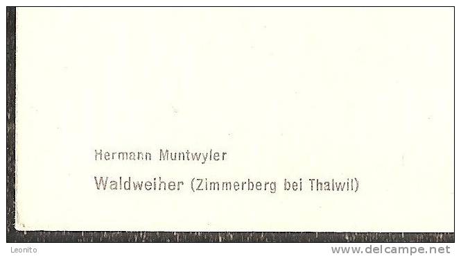 ZIMMERBERG Bei Thalwil Zürich Waldweiher Hermann Muntwyler Ca. 1940 - Thalwil