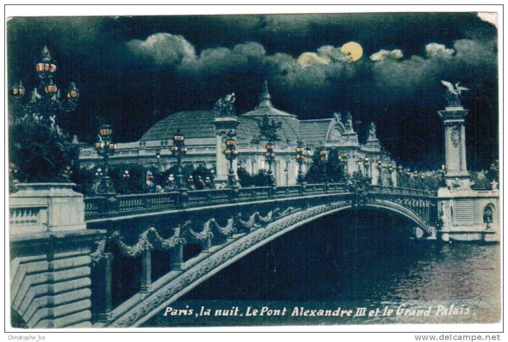 CPA Paris La Nuit, Le Pont Alexandre III Et Le Grand Palais (pk6107) - Paris La Nuit