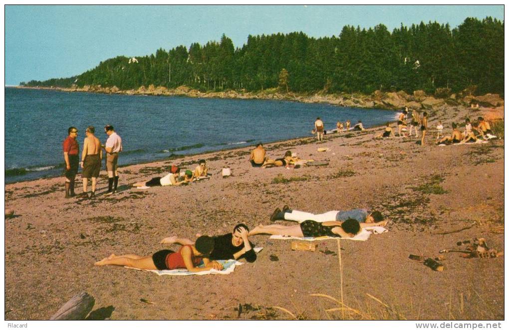 32983   Canada,     Metis Beach  -  Quebec  -  Our  Nice  Sandy  Beach,  NV - Autres & Non Classés