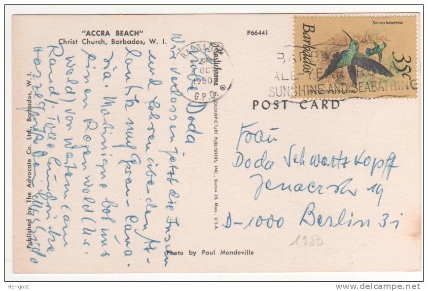 Timbre " Oiseau " / CP , Carte , Postcard Du 08 Oct 80 Pour L´Allemagne - Barbades (1966-...)