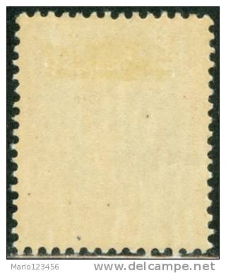 ITALIA, ITALY, ITALIEN, OCCUPAZIONE ITALIANA ALBANIA, 1939, FRANCOBOLLO NUOVO (MLH*), Scott 314 - Albania