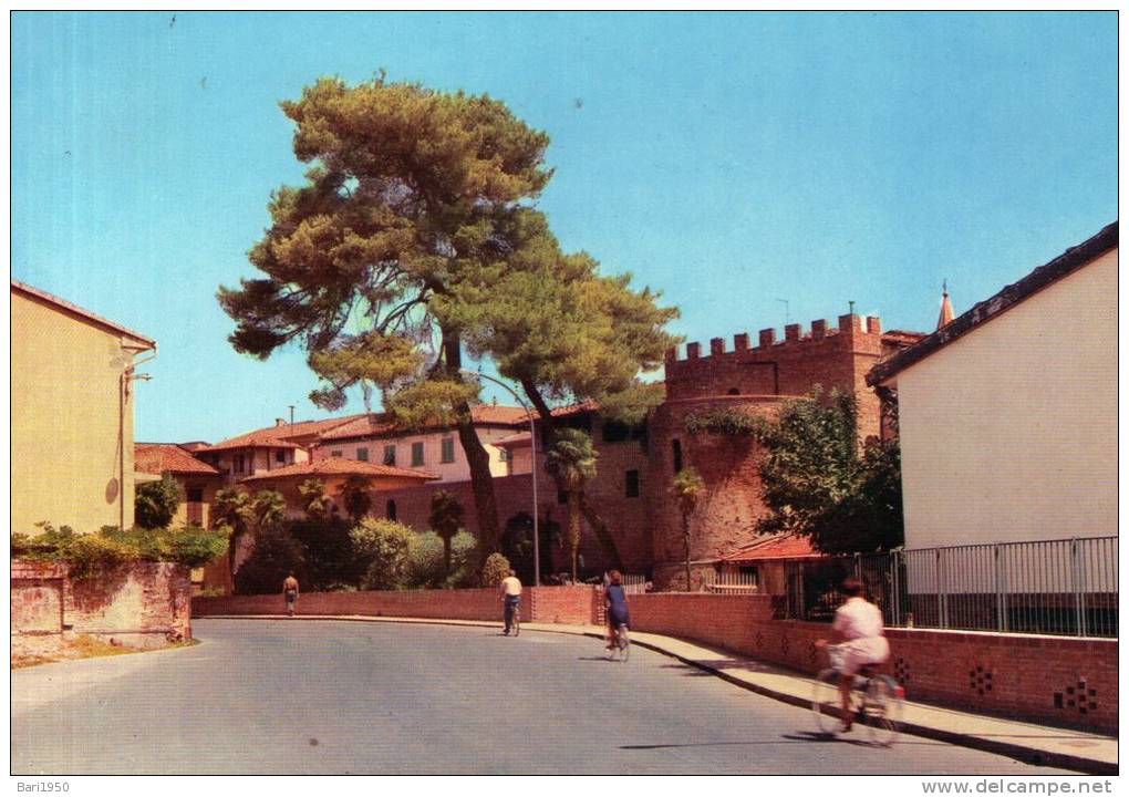 Bellissima   Cartolina   Anni 70       "  EMPOLI -  Rudere Della Cinta Muraria (anno 1400)" - Empoli