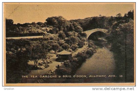 THE TEA GARDEN  BRIG O'DOON , ALLOWAY, AYR   53. - Ayrshire