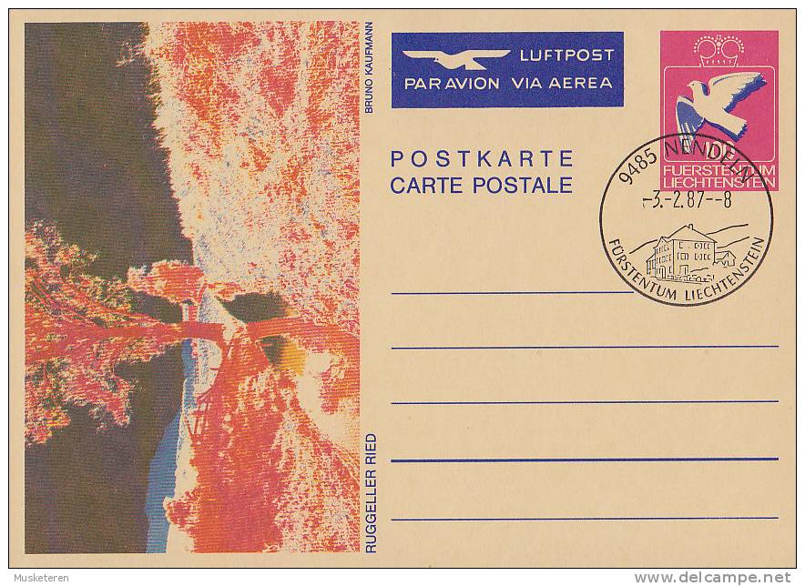 Liechtenstein Airmail Par Avion Via Aerea Postal Stationery Ganzsache Entier Bird Vogel NENDELN 1987 Ruggeller Ried - Stamped Stationery