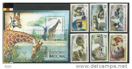 CUBA. Parc Zoologique National De Cuba (ara,tortue Geante,grue,raton Laveur,panthere,orang-outan) 6 T-p + 1 BF Neufs ** - Unused Stamps