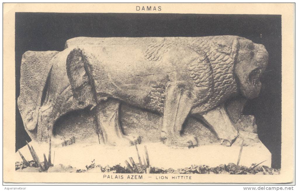 DAMAS PALAIS AZEM LEON HITTITE CPA CIRCA 1915 EDITION DEBOUTIN A PARIS RARE DOS DIVISE UNCIRCULATED TBE - Syrië