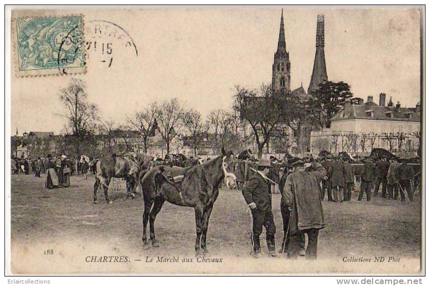 Chartres   Le Marché Aux Chevaux - Chartres