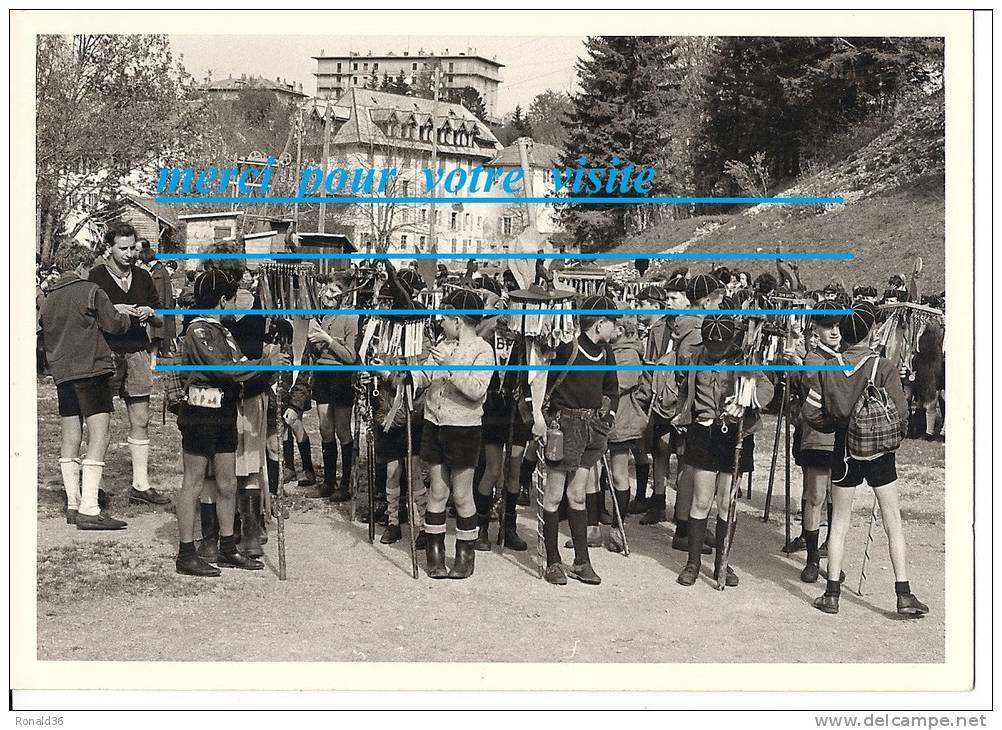 Carte Postale Photo Scoutisme Scoute Scout : Rassemblement Défilé , Groupe De Boy  Pré Forêt ( Uniforme ) - Movimiento Scout