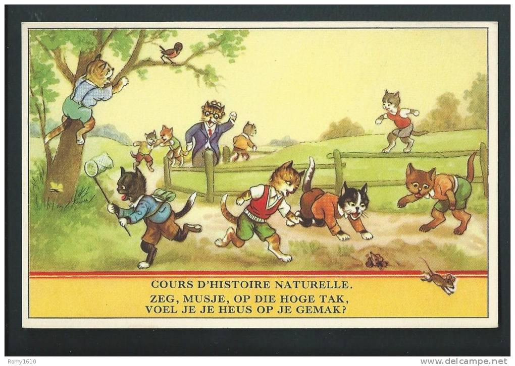 Humour. Chats , Souris, Oiseau, Papillon... " Cours D'histoire Naturelle" - Chats