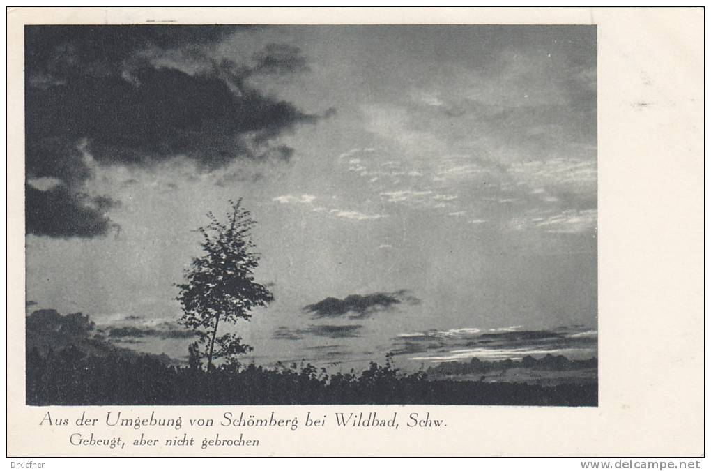 Schömberg, Schwarzw., Abendstimmung, Um 1930 - Schömberg