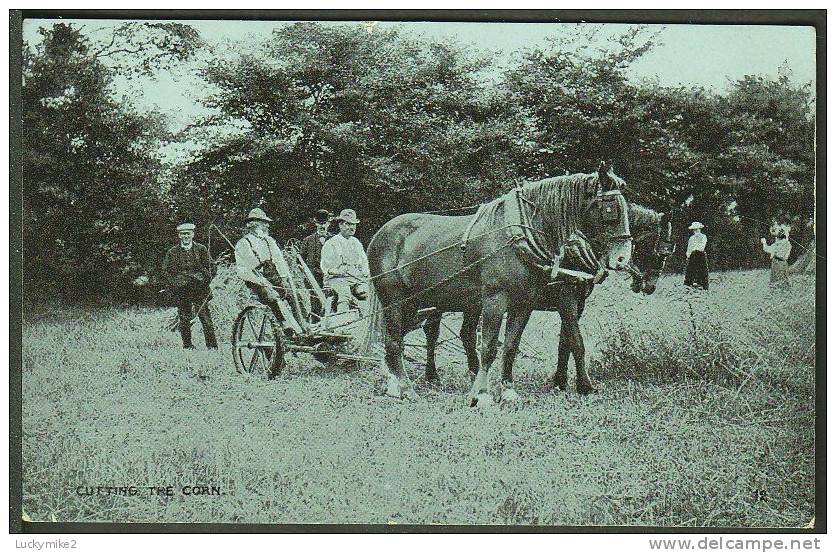 "Cutting The Corn".  Unused,  C1920. - Farmers