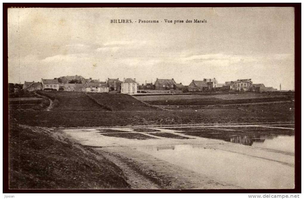 Cpa Du 56  Billiers Vue Prise Des Marais   BHU5 - Autres & Non Classés