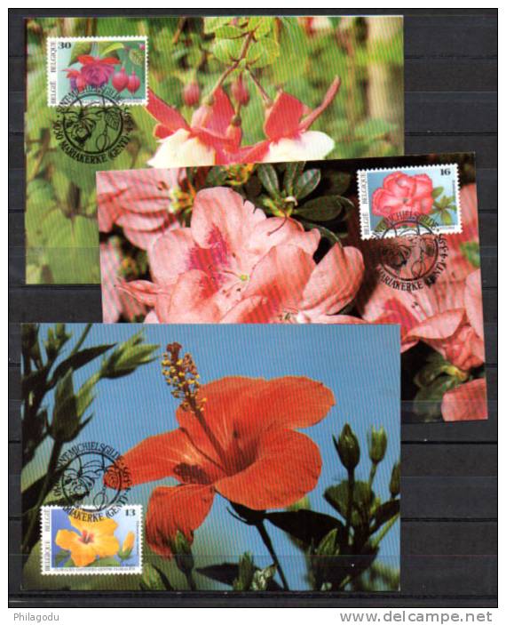 3 Cartes Maximum, Floralies Gantoises, 2589 /2591 - Vignettes De Fantaisie