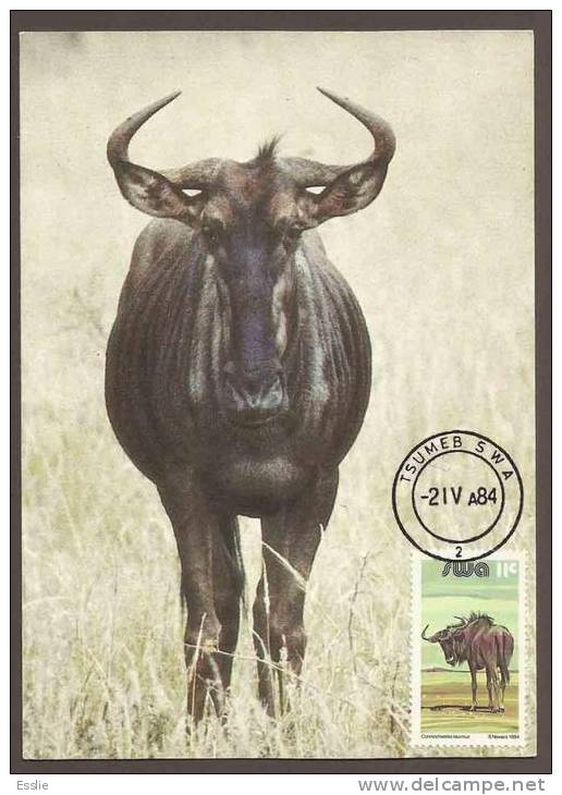 South West Africa SWA - 1984 - Definitive Additional Value Blue Wildebeest - Maximum Card / Maxi Card - Gibier