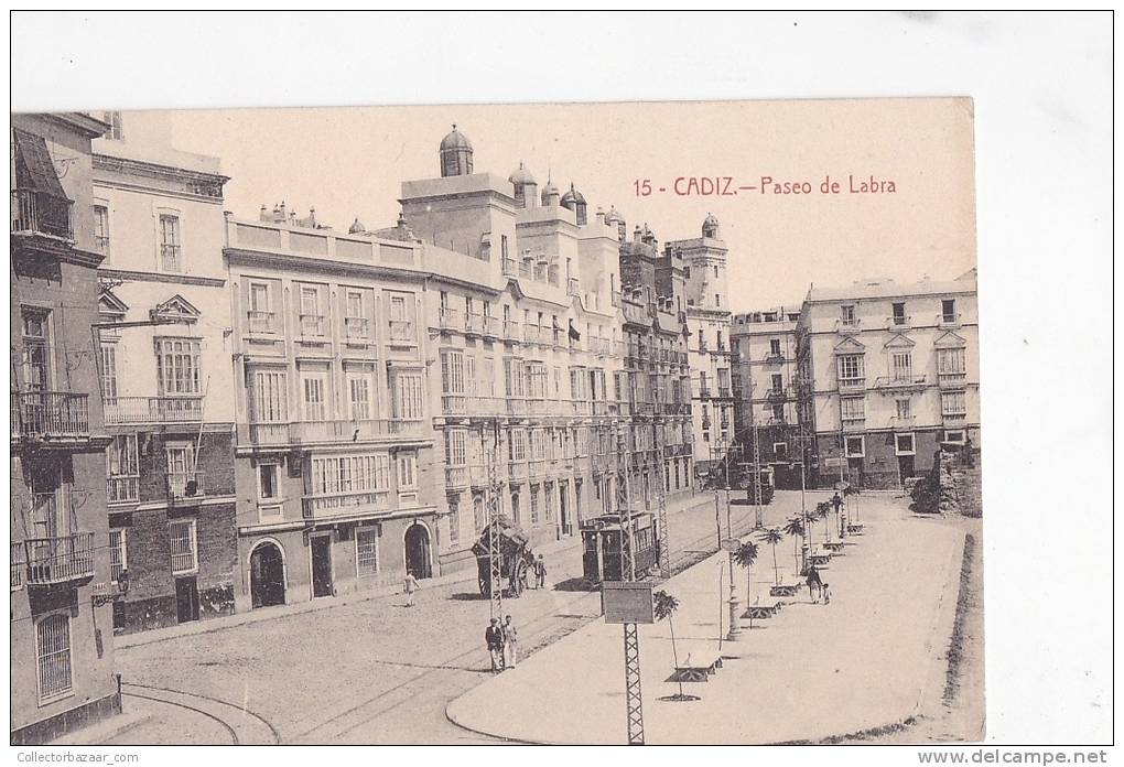 Espa&ntilde;a Tarjeta Postal Cadiz  Paseo De Labra - Postcard AK Cpa (W3_644) - Cádiz