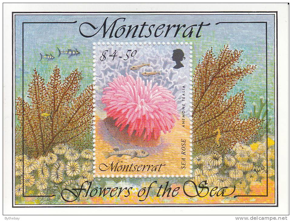 Montserrat MNH Scott #859 Souvenir Sheet $4.50 Sea Rose - Anemone Tealia - Flowers Of The Sea - Montserrat