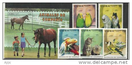 Animaux De Compagnies 5 T-p + 1 BF Neufs **.  Yv. 4176/80 + BF 191 - Neufs