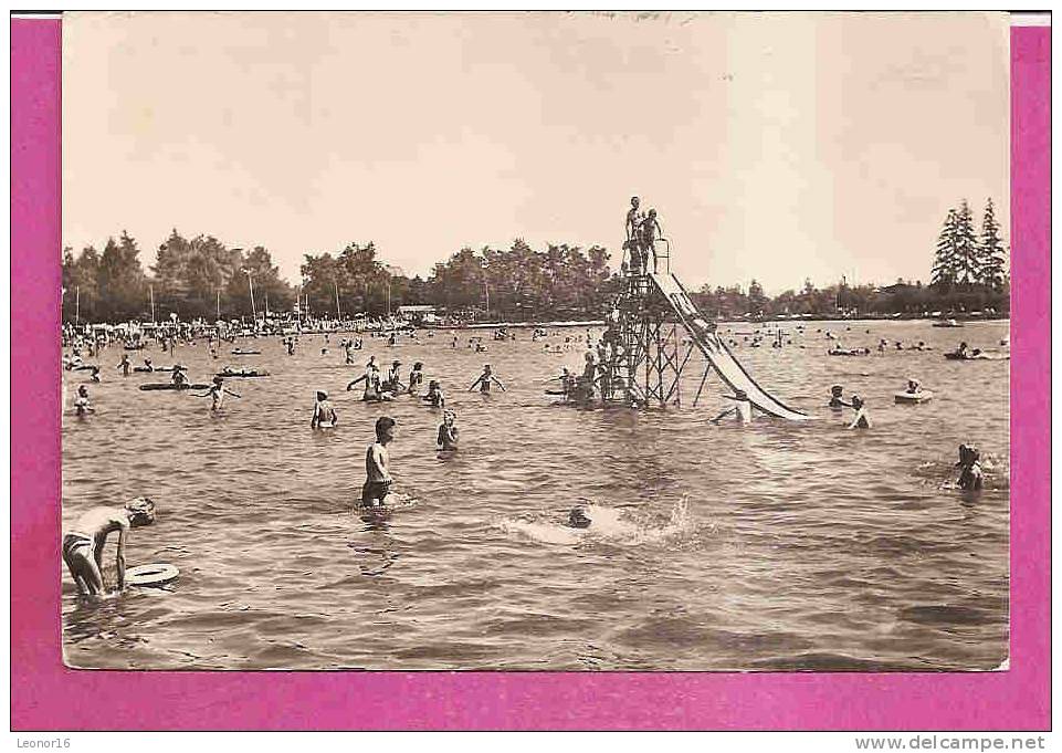 SCHNEEBERG   -  ** STRANDBAD FILZTEICH IN 1978 **    -   Verlag : BILD U HEIMAT Aus REICHENBACH  N° 251 - Schneeberg