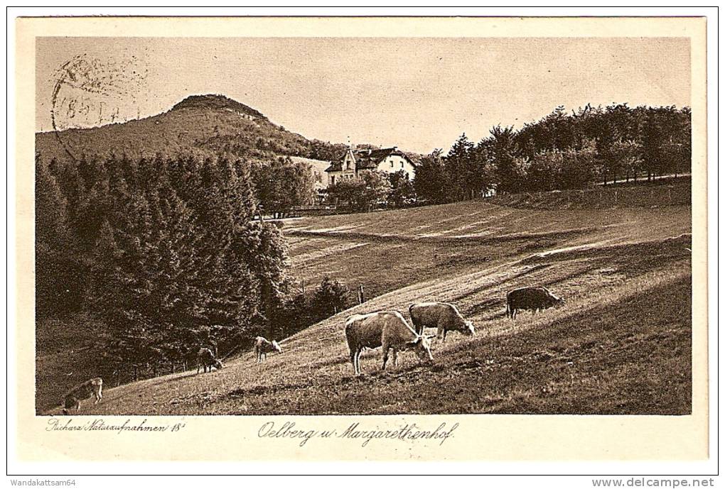 AK 18 Richurz Naturaufnahmen Oelberg U. Margarethenhof21 24 7-8 V  ITT *SIEBENGEBIRGE* Mehr Nicht Lesbar Stempelabschlag - Koenigswinter