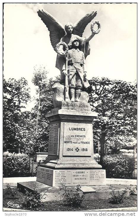 NORD PAS DE CALAIS - 62 - PAS DE CALAIS - LUMBRES - Le Monument Aux Morts - CPSM - Lumbres