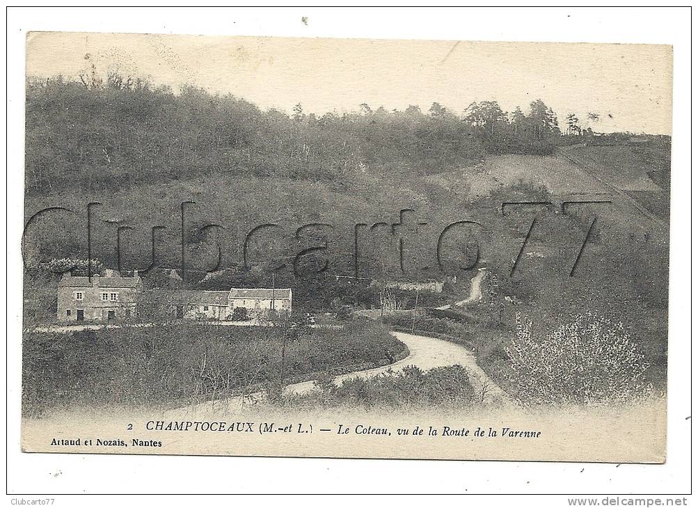 Champtoceaux (49) : Les Habitations Du Côteau Route De La Varenne En 1918. - Champtoceaux