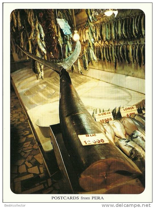 @@@ POSTCARDS FROM PERA, Istanbul, TURKEY - 2001 - Fish Market - Turchia