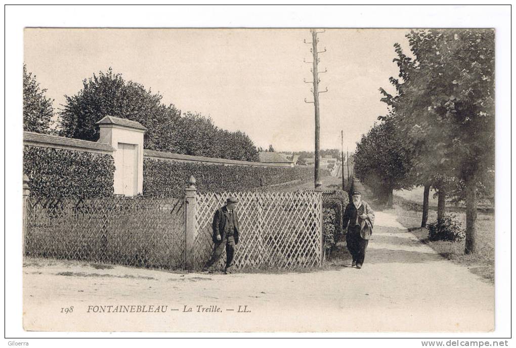 FONTAINEBLEAU La Treille - Fontainebleau