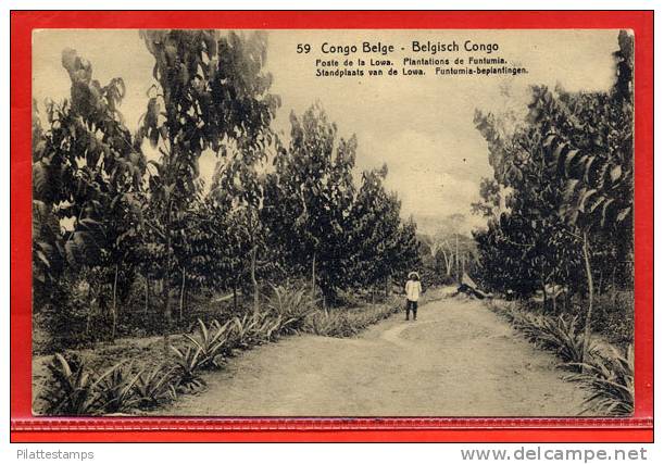 CONGO BELGE ENTIER POSTAL COCOTIER 10C ILLUSTRE PLANTATION DE FUNTUMIA - Otros & Sin Clasificación