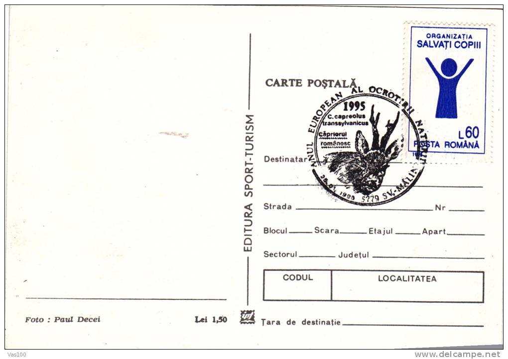 DEER,CM,CARTES MAXIMUM,MAXICARD,1999,ROMANIA - Animalez De Caza