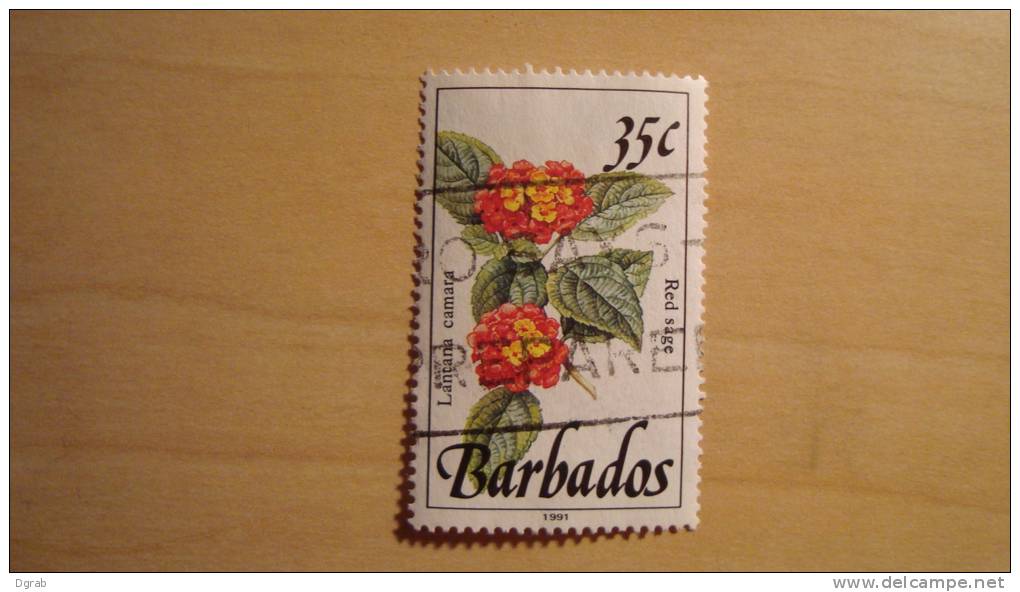 Barbados  1992  Scott #758A  Used - Barbados (1966-...)