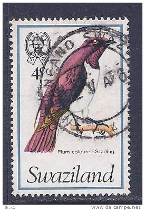 Swaziland, Scott # 247 Used Bird, 1976 - Swaziland (1968-...)