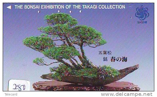 Télécarte Japon * Arbre Nain * BONSAI ( 280)  Dwarf Tree Japan Phonecard * Telefonkarte Baum - Fleurs