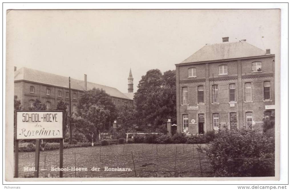 MOLL MOL School Hoeve Der Rozelaars Weldadigheid Ecole De Bienfaisance  Jardin Carte Photo - Mol