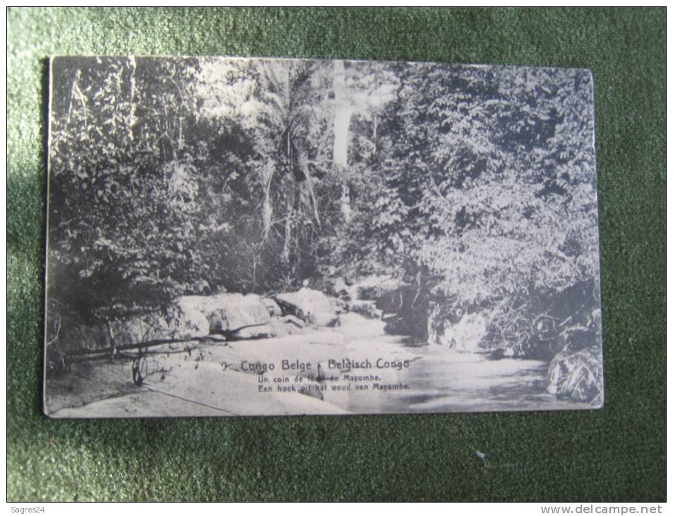 Congo Belge-Belgisch Congo-Un Coin De Forêt Du Mayumbe. - Congo Belga