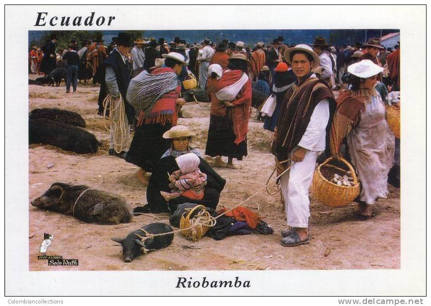 Lote PEP177 Ecuador, Postal, Postcard, Riobamba, Indigenous Activities, Actividades Indigenas - Ecuador