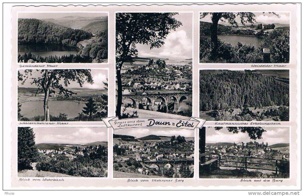 D3286    DAUN : Multiview - Daun