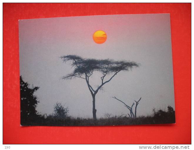 Serengeti Sunrise - Tanzanía