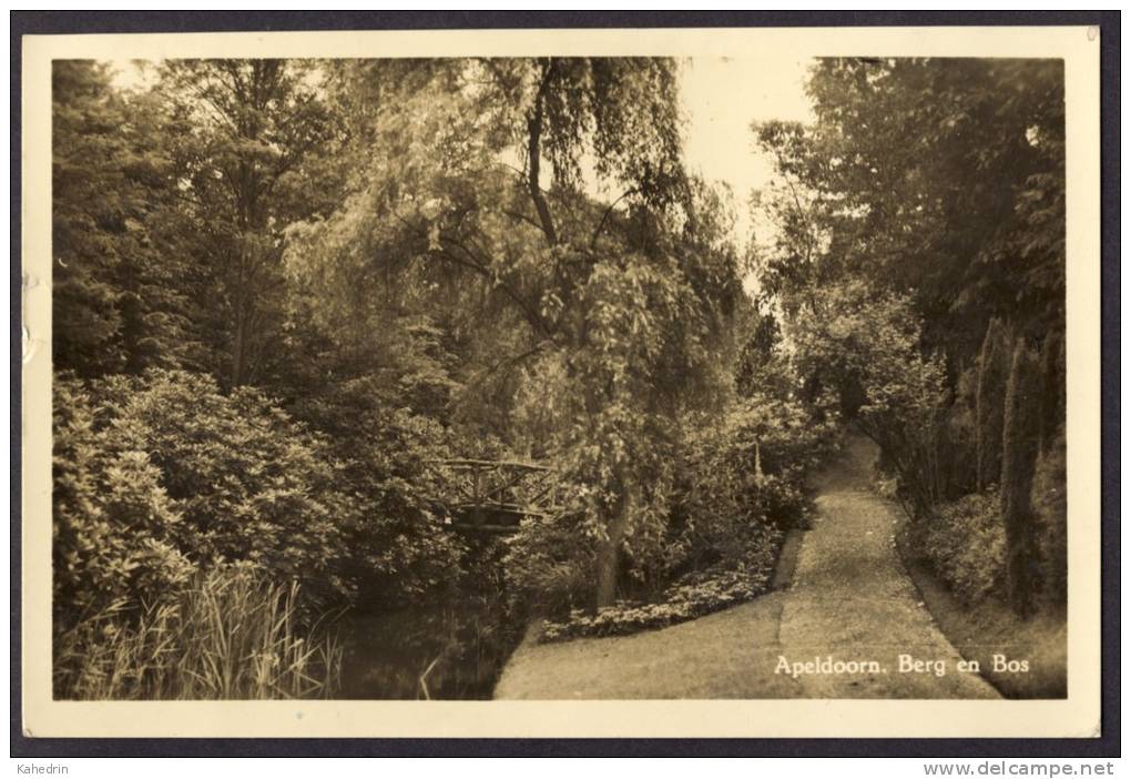 Apeldoorn, Berg En Bos, Gebruikt In 1953, Uitgave Fa. Arends - Apeldoorn