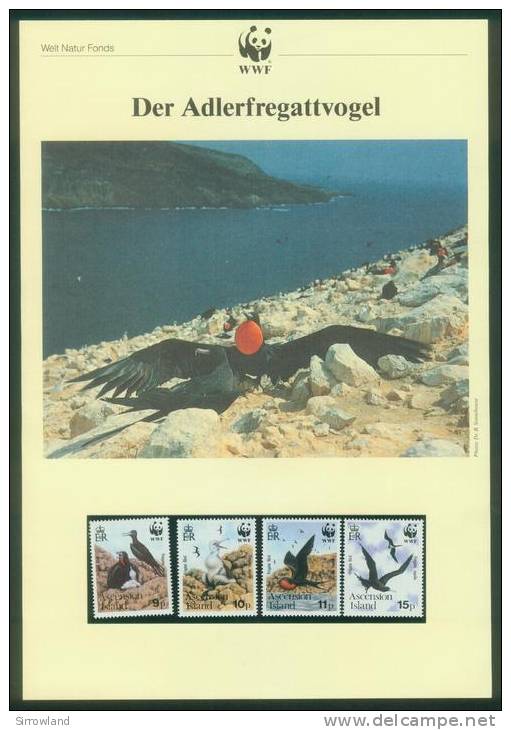 Ascension  1990  WWF - Adlerfregattvogel (6 Seiten Text !)  (4 ** (MNH) Kpl. )  Mi: 521-24 (13,00 EUR) - Ascensione