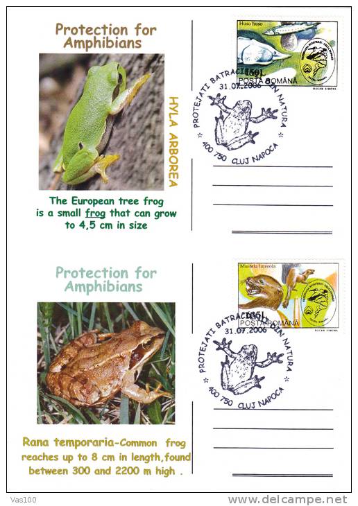 PROTECTION FOR AMPHIBIANS,CARTES MAXIMUM,MAXICARD,CM,2006,ROMANIA - Schildkröten