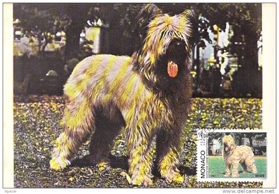 MONACO CARTE MAXIMUM  NUM.YVERT  1330 CHIEN BRIARD - Cartoline Maximum